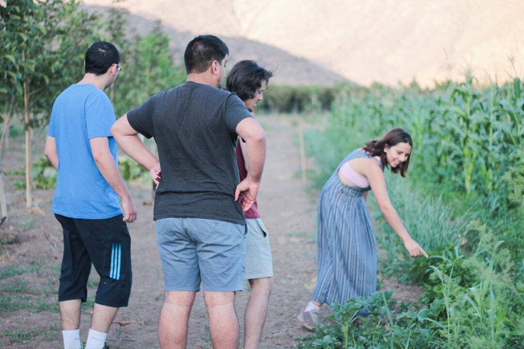 community garden young people